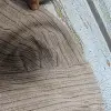 بدون موضوع